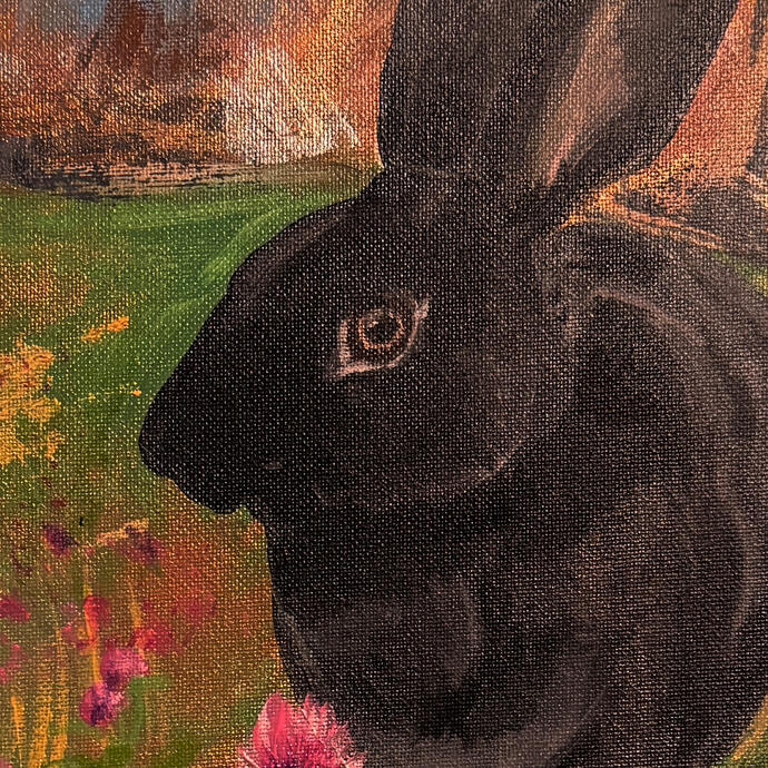 Rabbit
