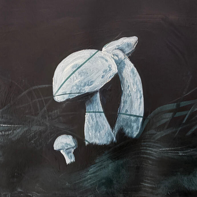 Moon Mushroom Family